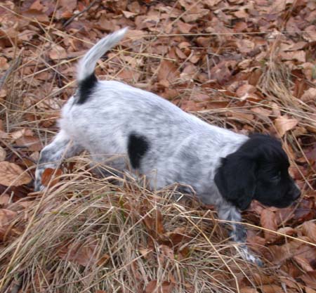 athos7 